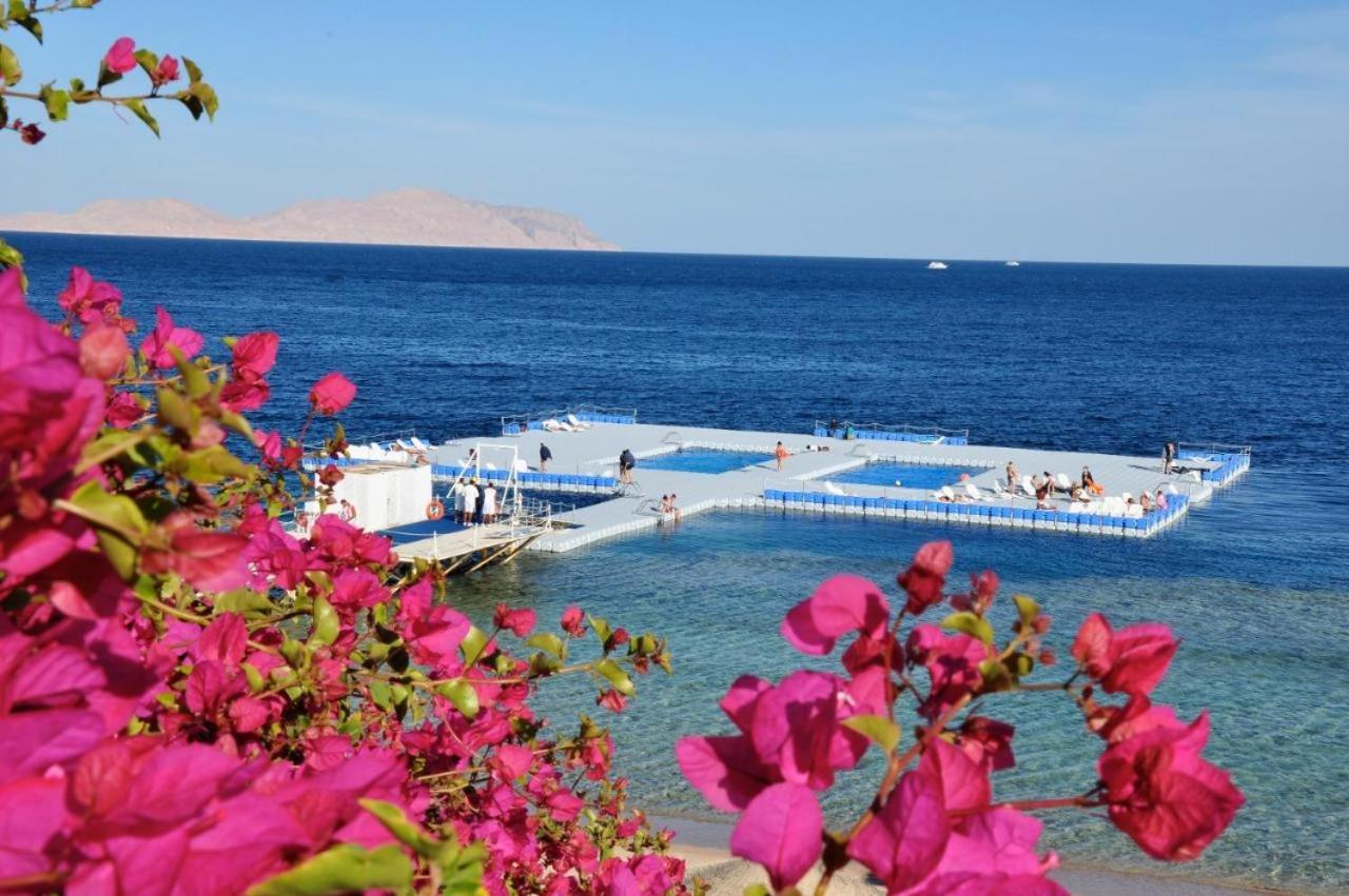 Grace House Domina Coral Bay Lejlighed Sharm el-Sheikh Eksteriør billede